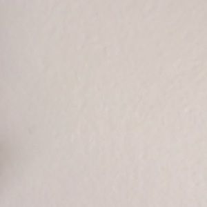 Meet your Posher, Jaylin